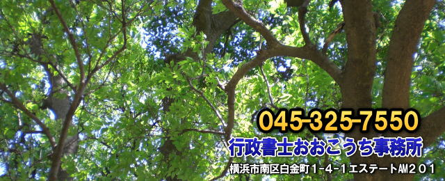 事務所案内　横浜市南区　行政書士おおこうち事務所